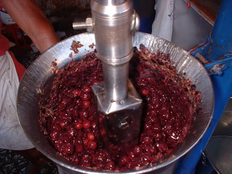 Processamento do açaí