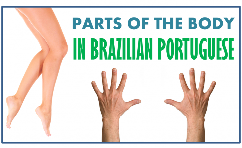 parts body brazilian portuguese vocabulary